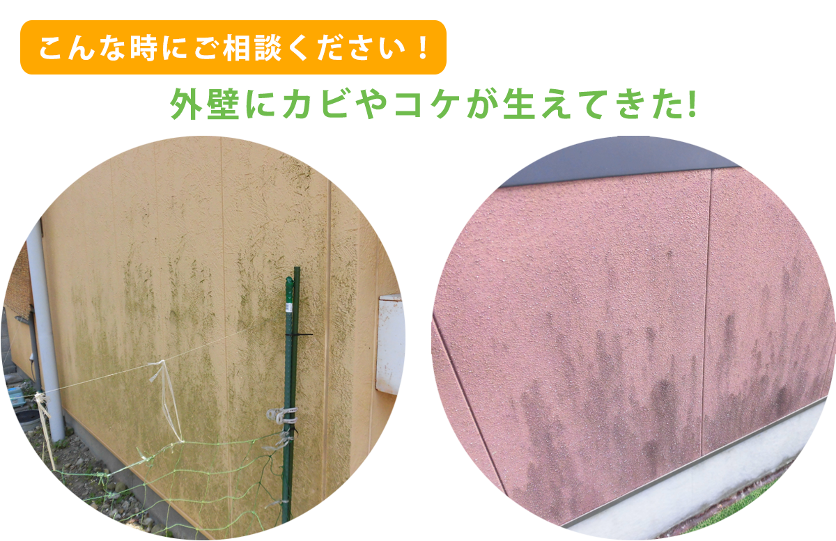 外壁が腐食してきている時