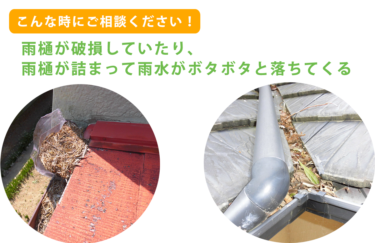 雨樋が破損
